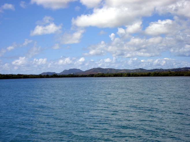 PR Bio Bay